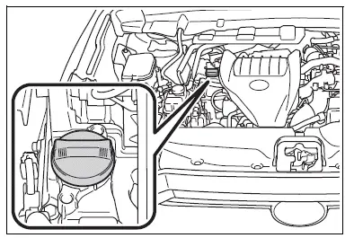 Engine compartment