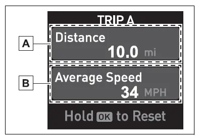 Multi-information display (12.3-inch display)