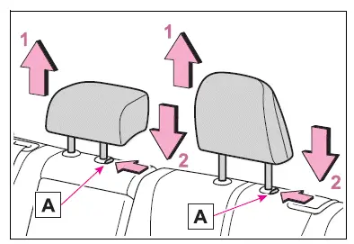 Adjusting the seats