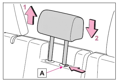 Adjusting the seats