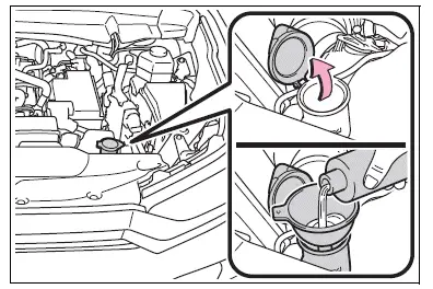 Engine compartment