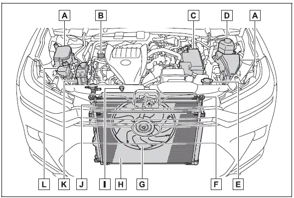 Engine compartment